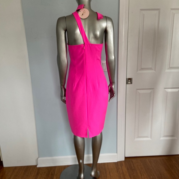 Lumier Hot Pink Dress - Picture 3 of 4